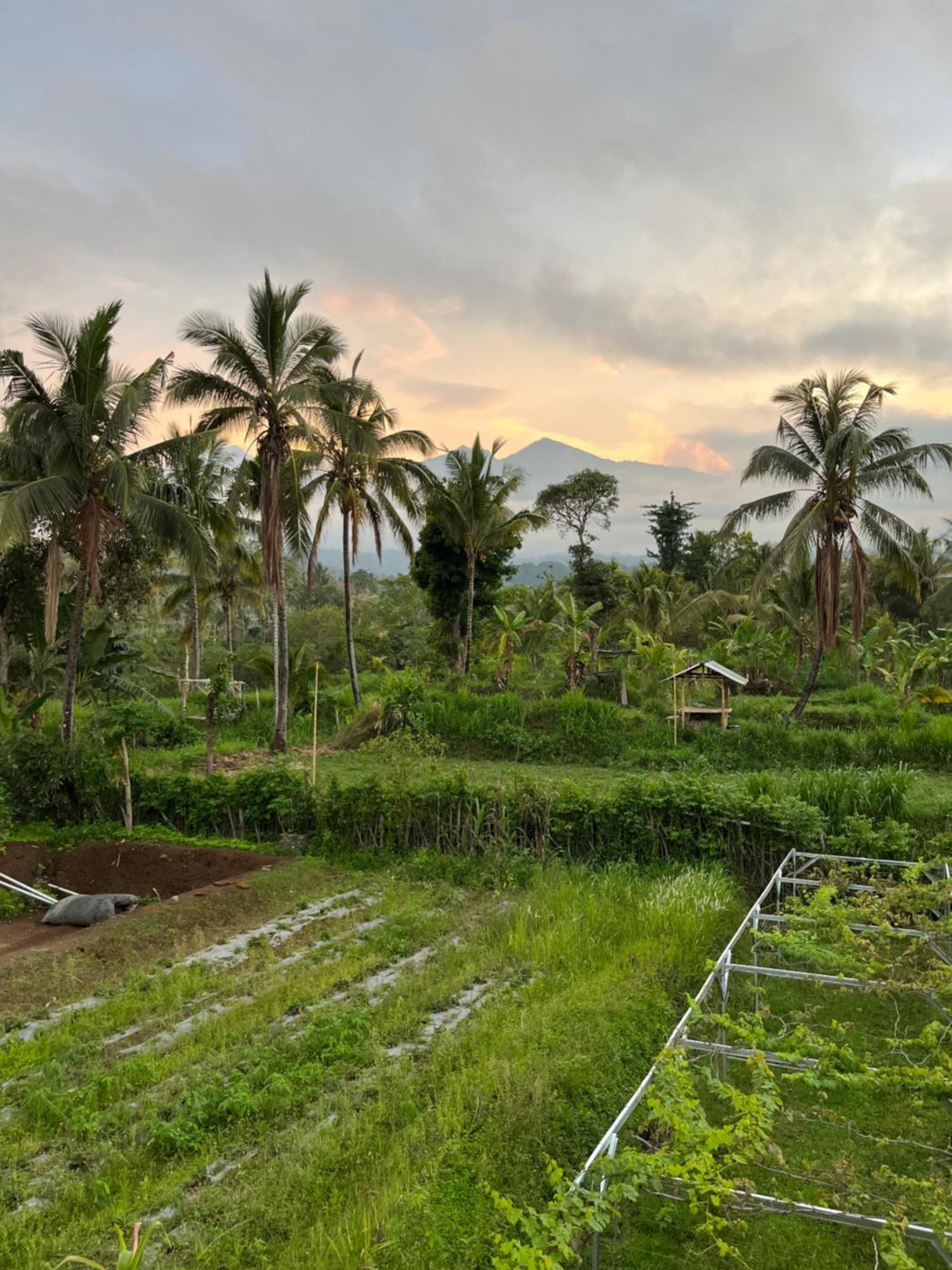 Rinjani Eco Villa Senaru Bayan Exterior photo