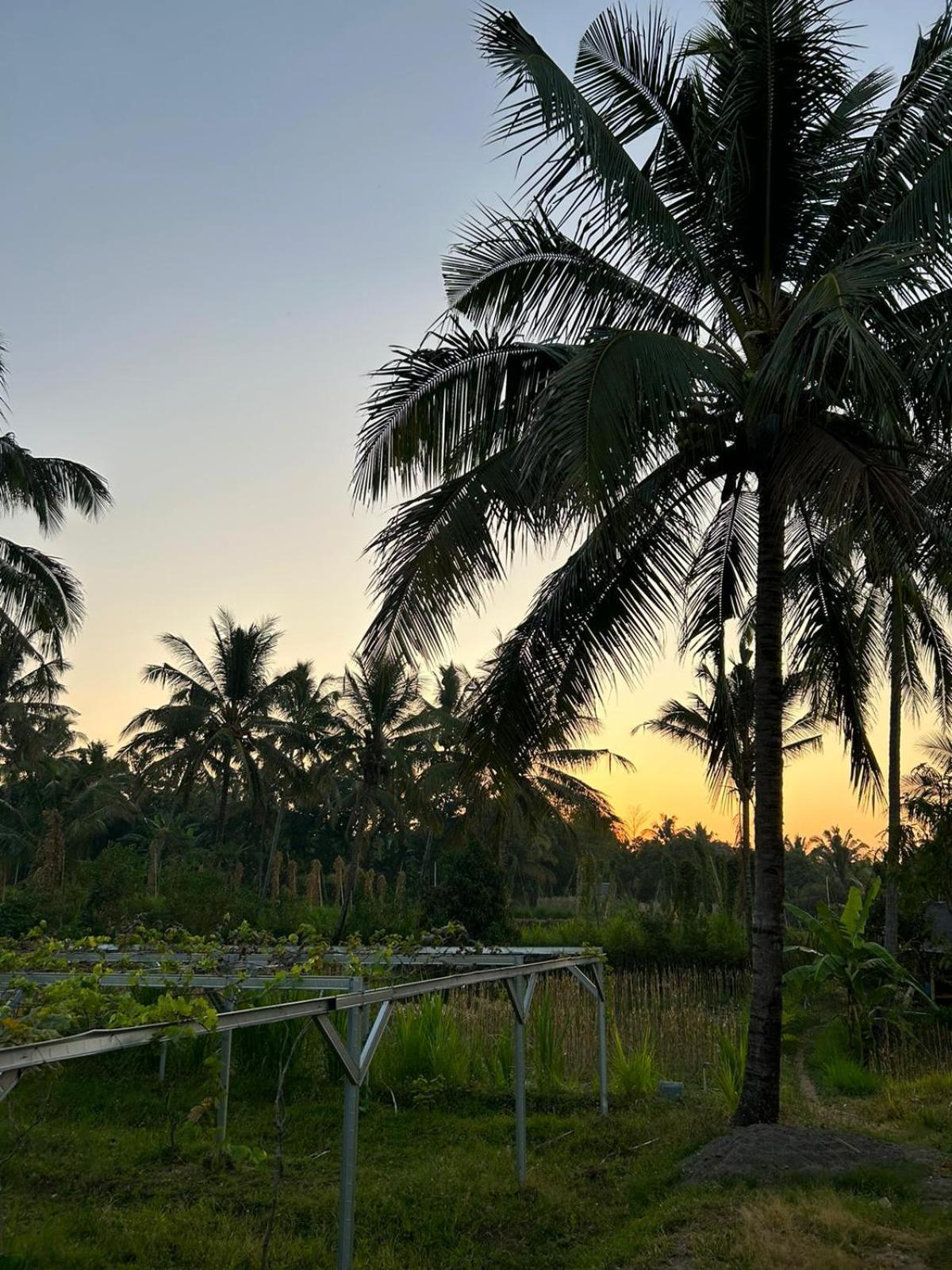 Rinjani Eco Villa Senaru Bayan Exterior photo
