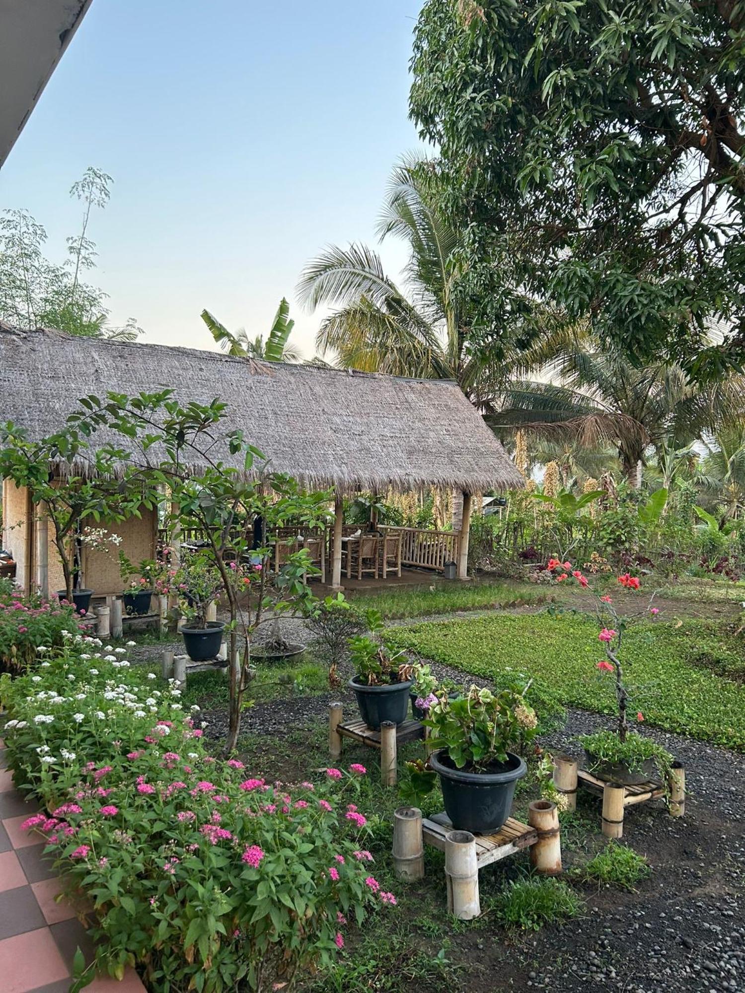 Rinjani Eco Villa Senaru Bayan Exterior photo